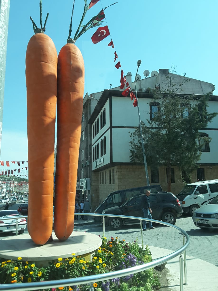 30ft high carrot sculpture