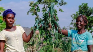 Making Agriculture a Business: Co-op Development in Zambia